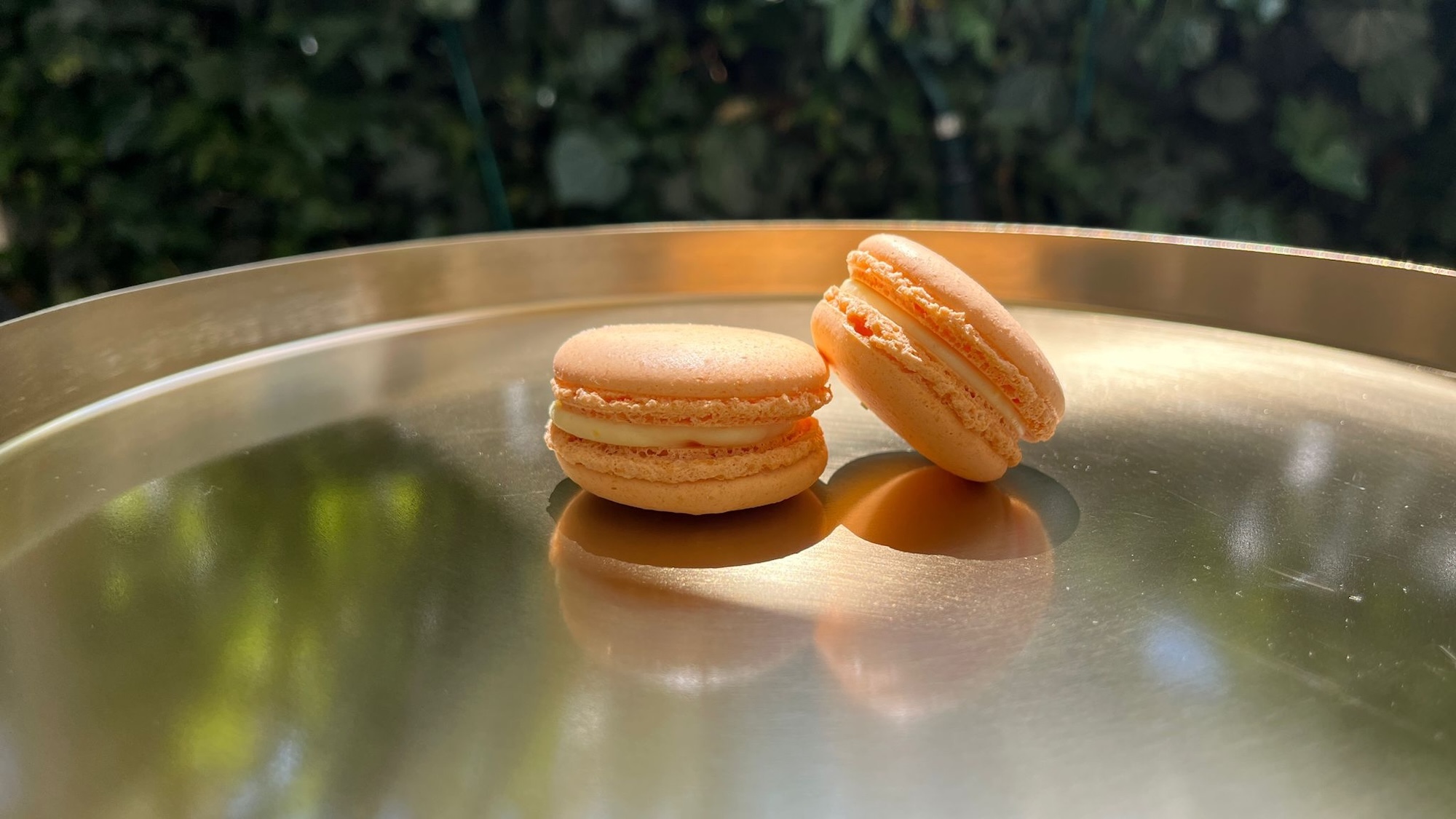 macarons